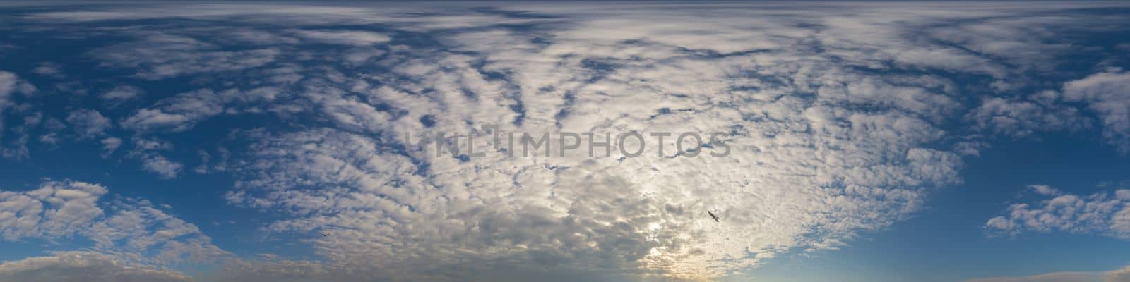 Panorama of a dark blue sunset sky with golden Cumulus clouds. Seamless hdr 360 panorama in spherical equiangular format. Full zenith for 3D visualization, sky replacement for aerial drone panoramas. by Matiunina