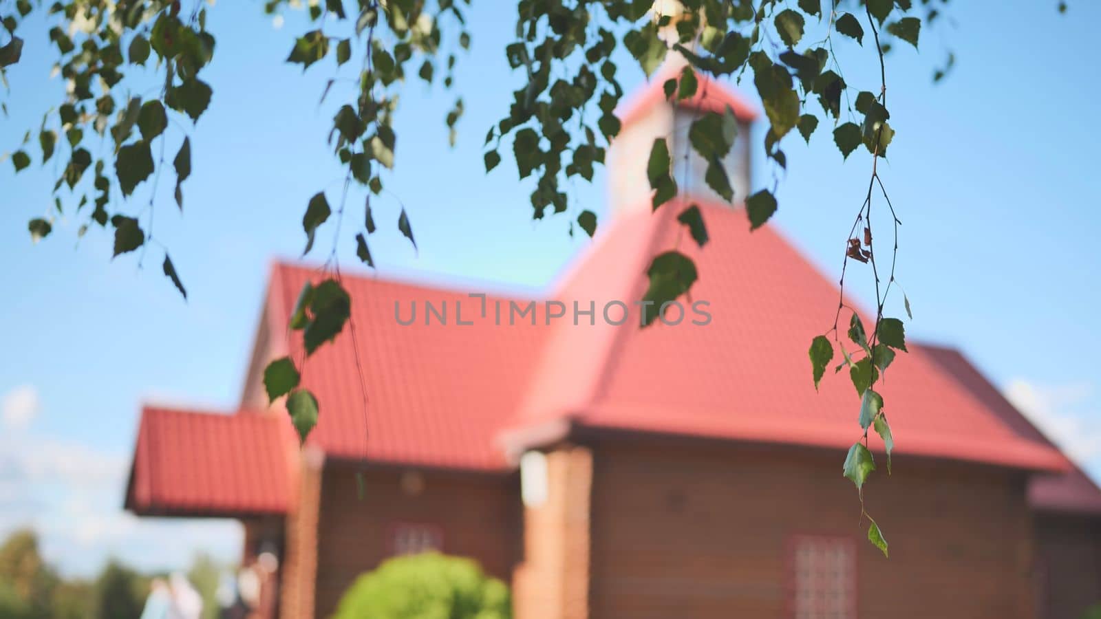 The dome of the Orthodox Church on the background of birch branches