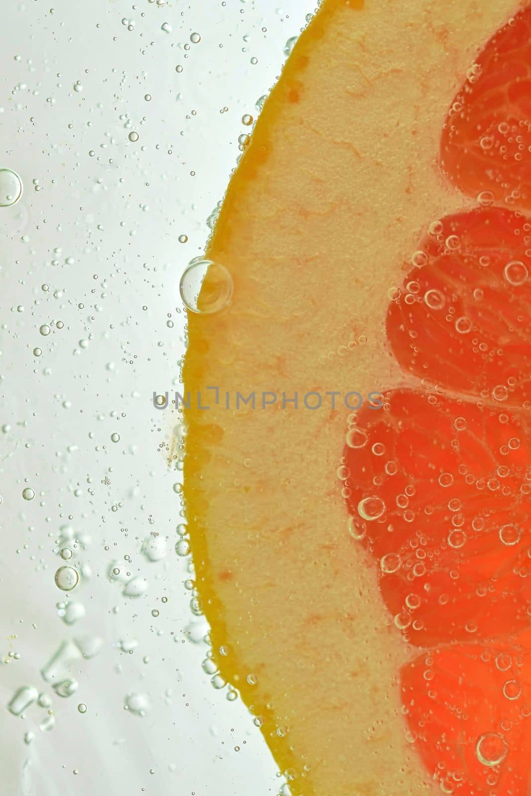 Close-up of fresh grapefruit slice on white background. Slice of red grapefruit in sparkling water on white background, close-up. Vertical image.