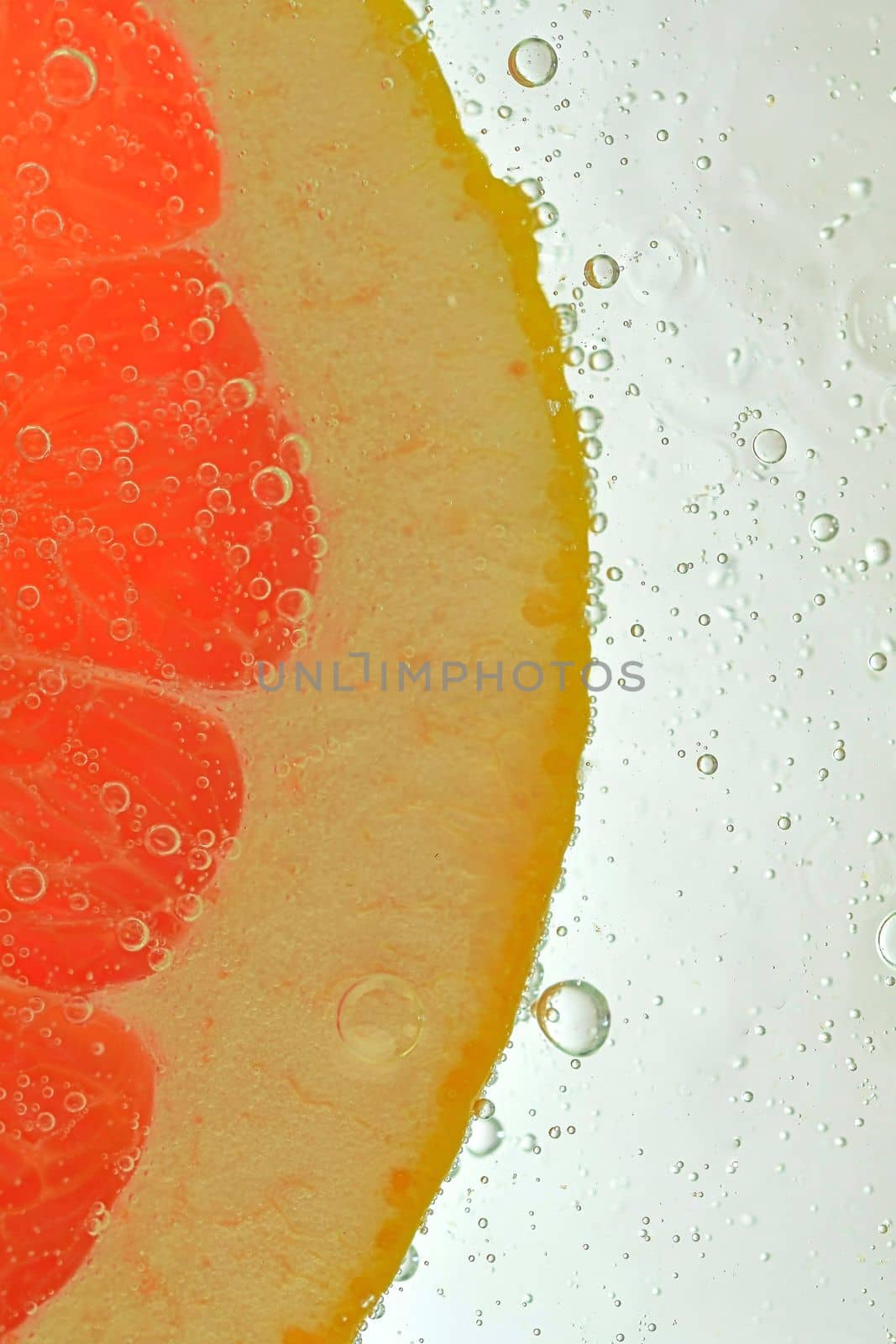 Close-up of juicy grapefruit slice on white background. Slice of red grapefruit in sparkling water on white background, close-up. Vertical macro image by roman_nerud