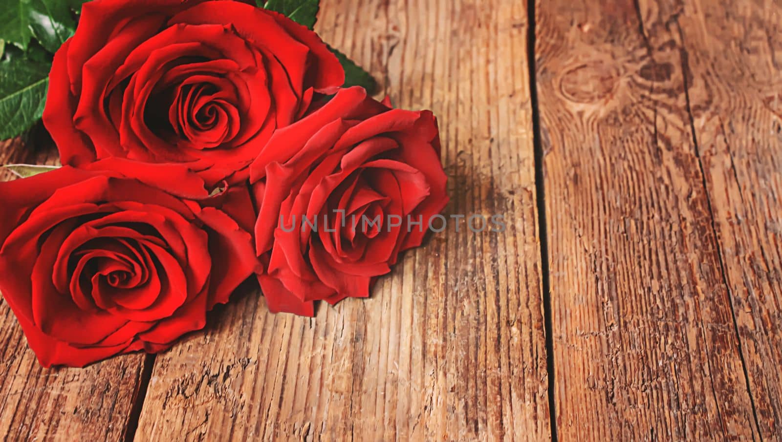 red rose on a wooden background. Valentine's Day gift.selective focus. by mila1784