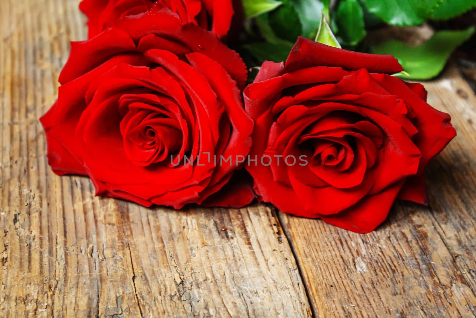 red rose on a wooden background. Valentine's Day gift.selective focus. by mila1784