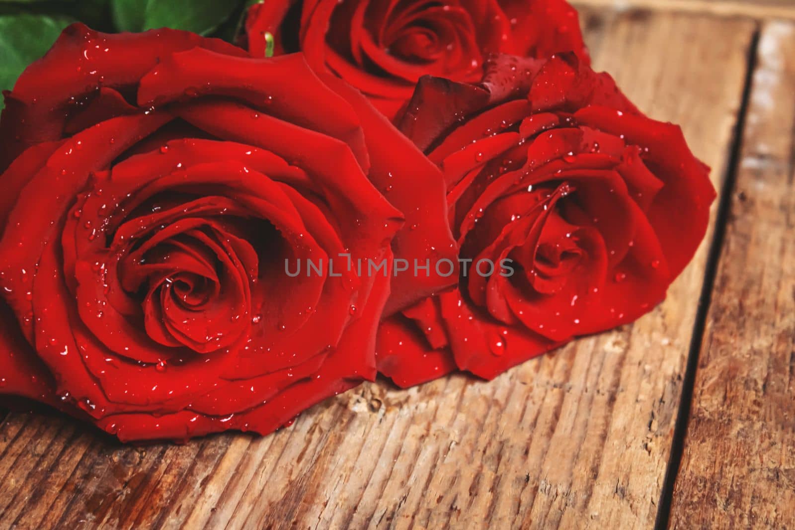 red rose on a wooden background. Valentine's Day gift.selective focus. by mila1784