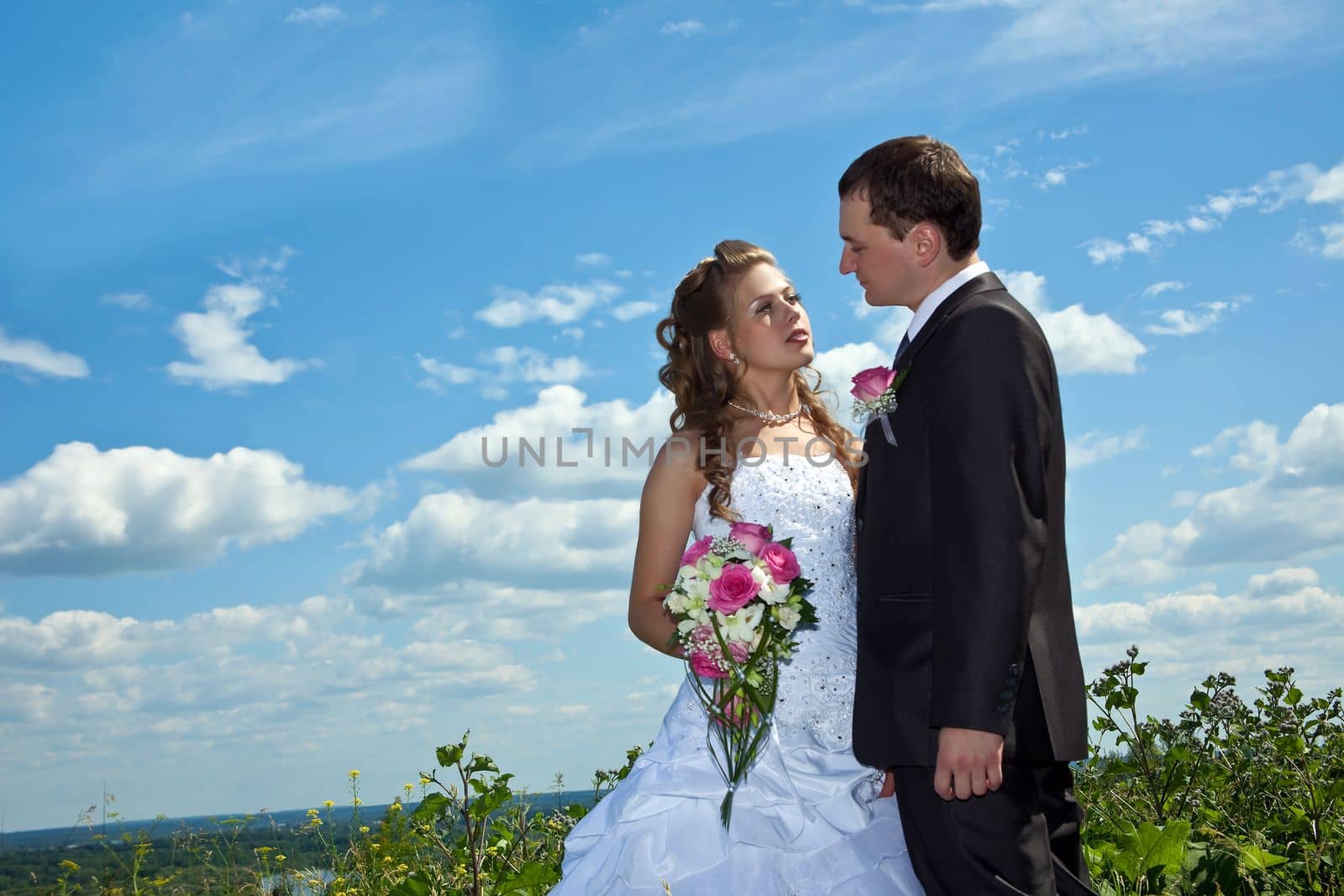 Wedding couple stand in grass in sunny summer day