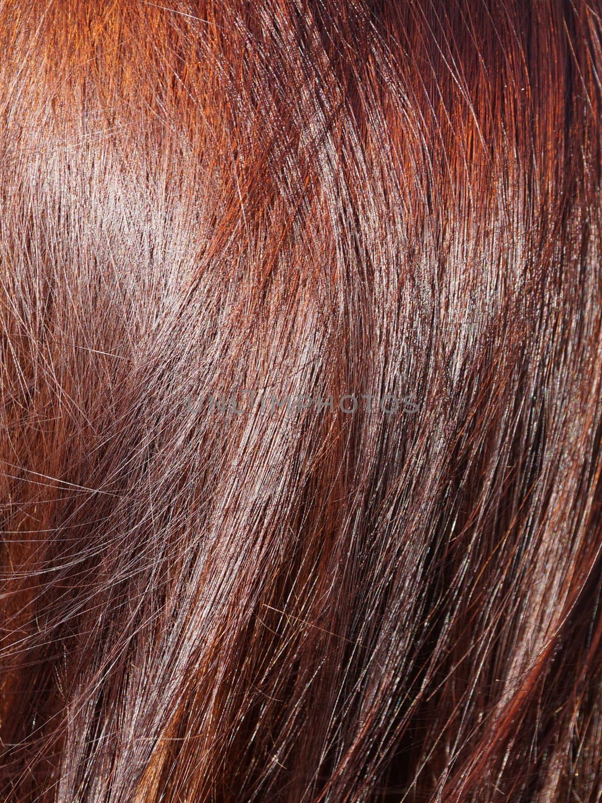 red brown female hair close-up in sunlight by Annado