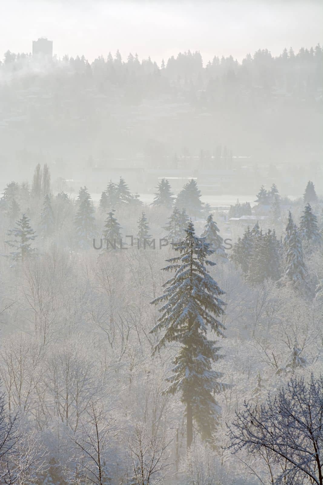 Winter time landscape. View on Fraser river in Burnaby, British Columbia, Canada.
