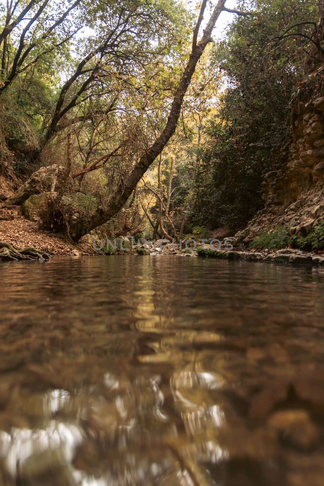 View of Kziv Stream at the end of the Black marked trail, Montfort Nahal Kziv National park, Western Galilee, Northern District of Israel, Israel. High quality photo