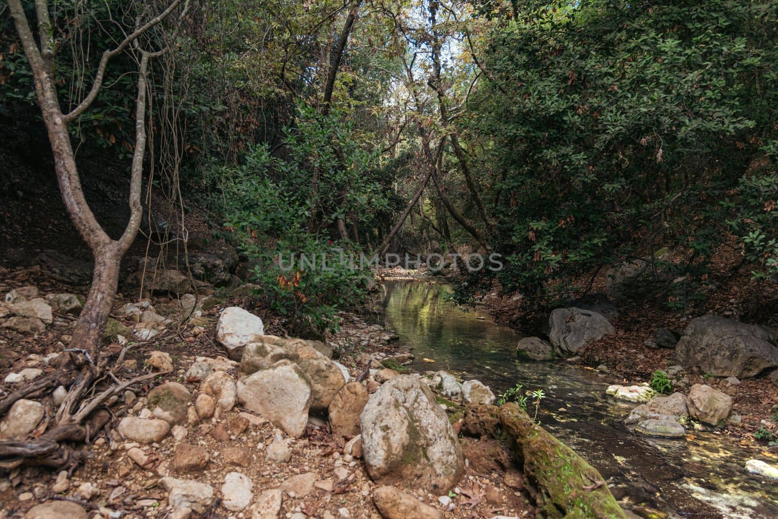 View of Kziv Stream at the end of the Black marked trail, Montfort Nahal Kziv National park, Western Galilee, Northern District of Israel, Israel. by avirozen
