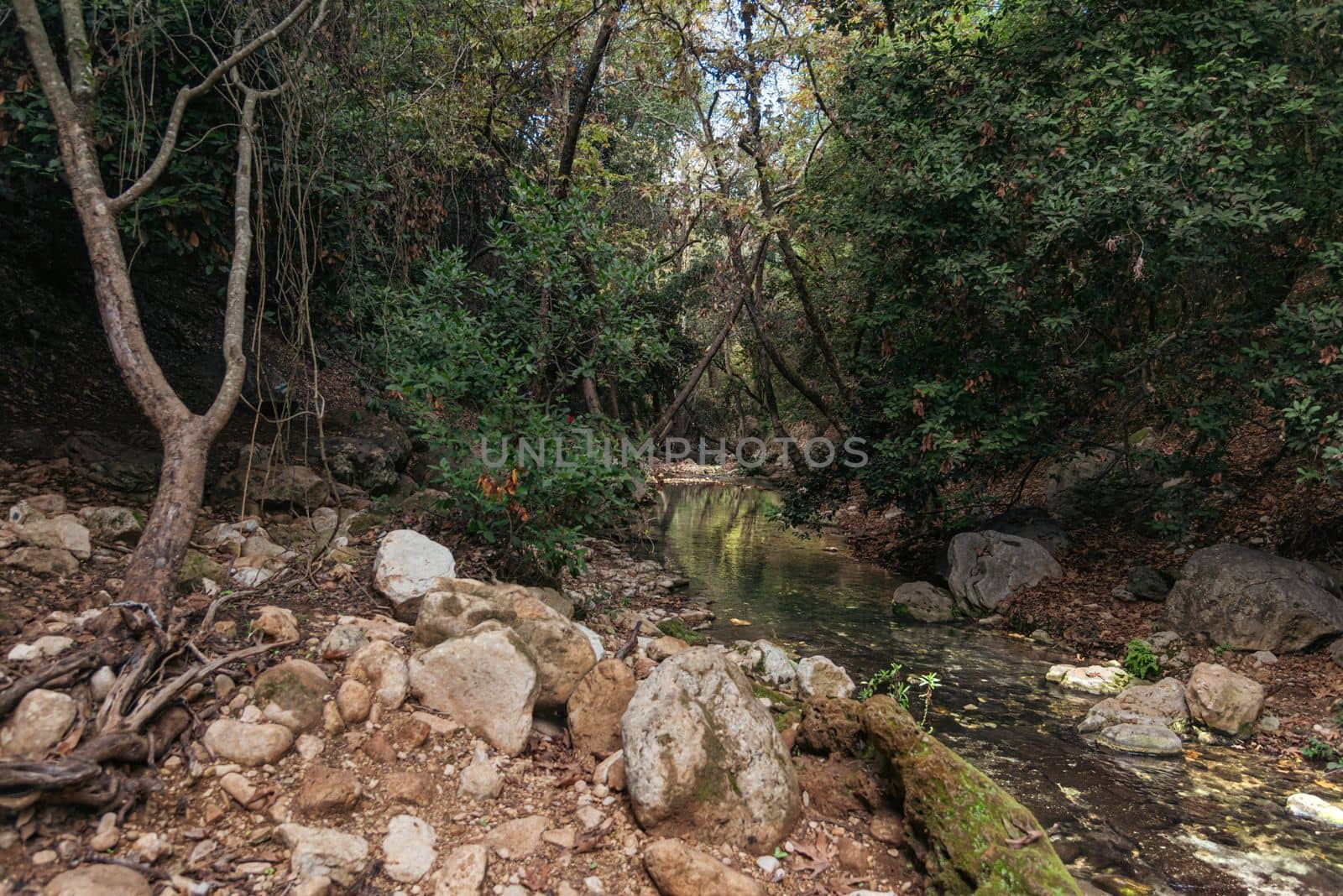View of Kziv Stream at the end of the Black marked trail, Montfort Nahal Kziv National park, Western Galilee, Northern District of Israel, Israel. High quality photo