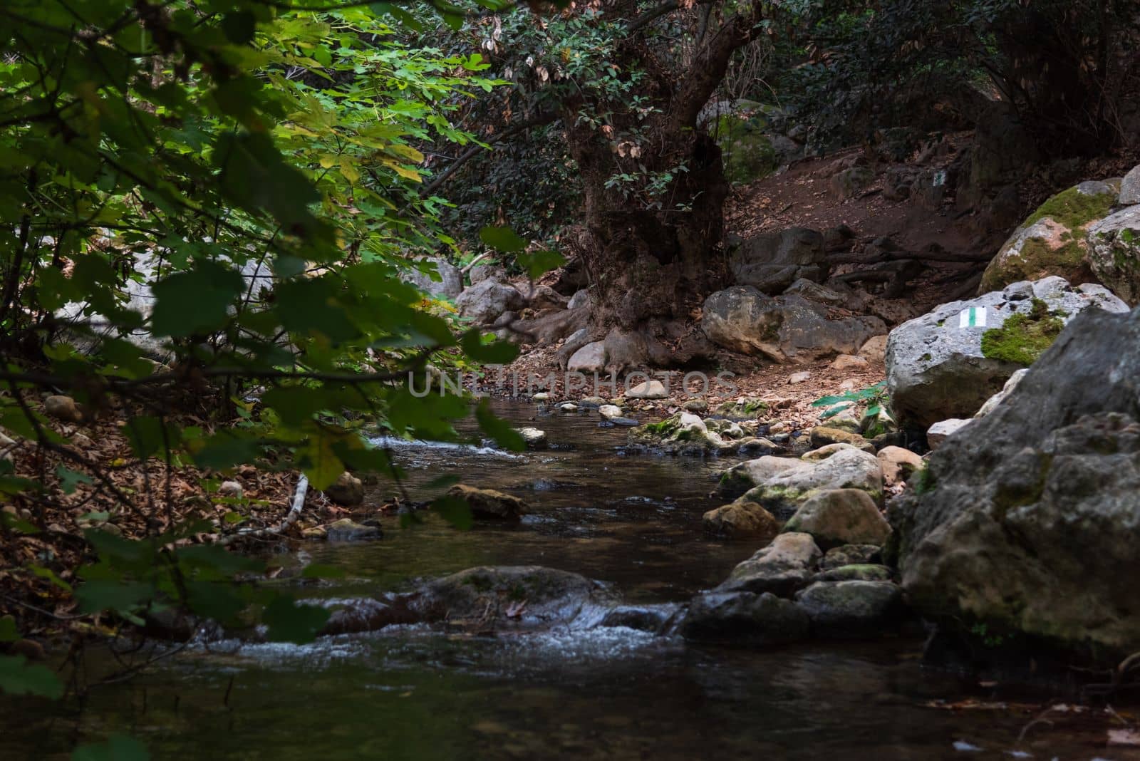 View of Kziv Stream at the end of the Black marked trail, Montfort Nahal Kziv National park, Western Galilee, Northern District of Israel, Israel. by avirozen