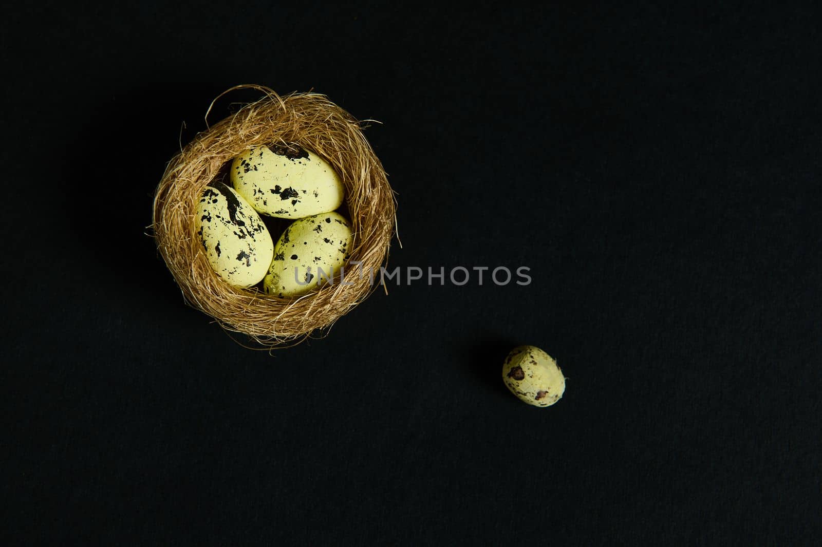 Still life. Studio shoot. Quail eggs in nest of straw, isolated over black background. Copy ad space. Wild nature. Animals. Nature, countryside, birds, spring, new life concept. Flat lay