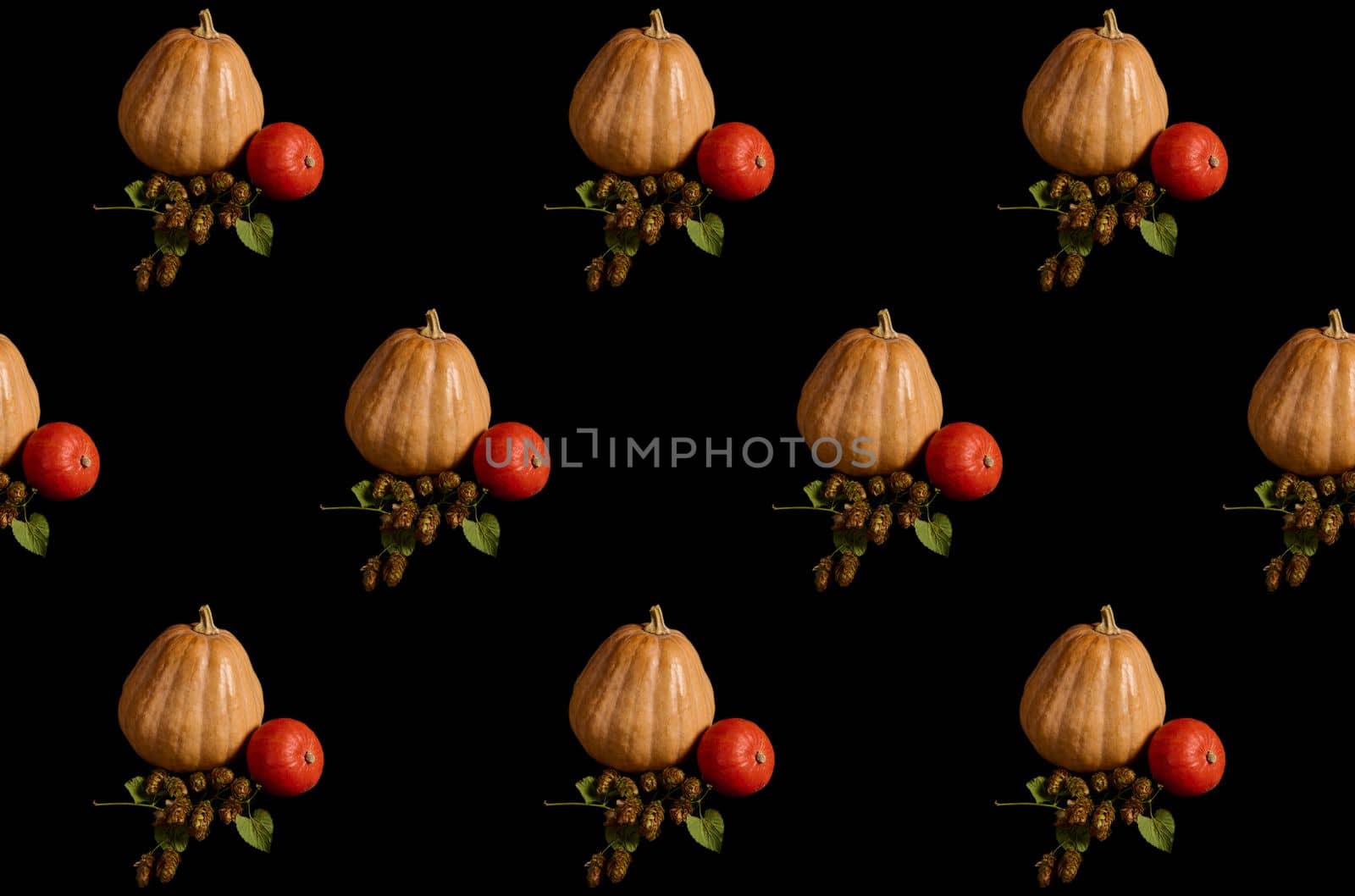 Whole organic pumpkins of various sizes and hop cones - humulus lupulus, on black background. Craft from autumn seasonal vegetables - witch on a broomstick. Halloween Thanksgiving. Copy space. Pattern