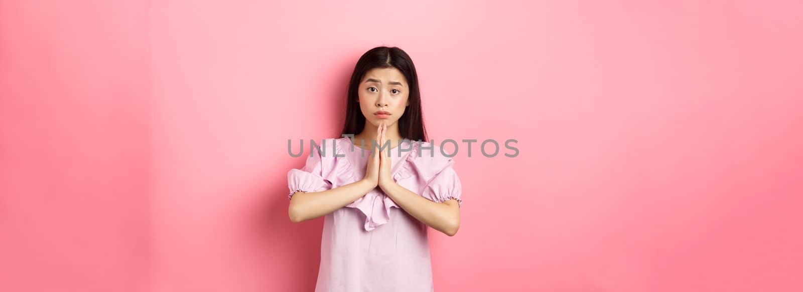 Please help me. Cute asian woman begging you, holding hands in pray and asking for favour, need something, standing against pink background.