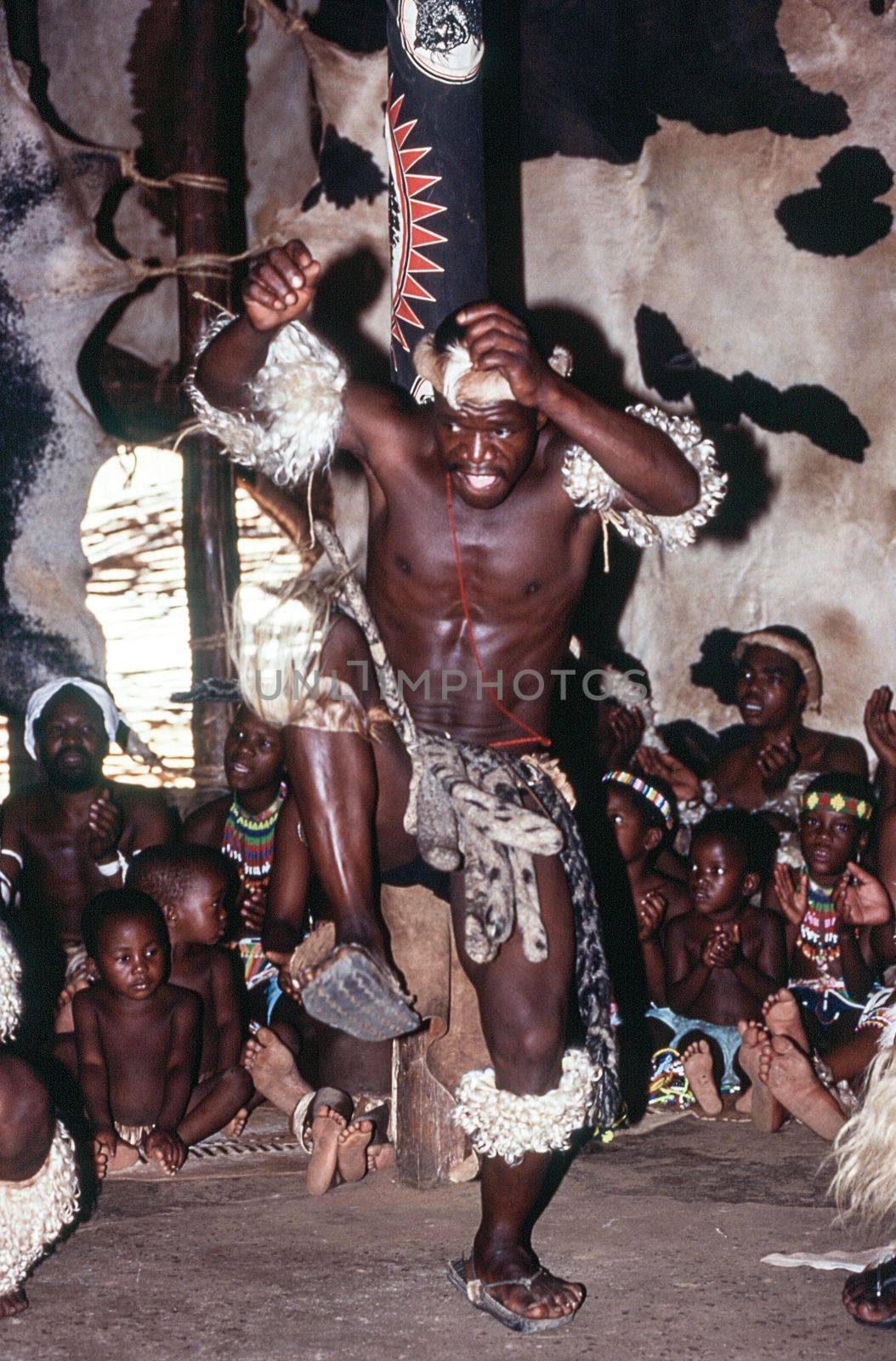 Zulu people at the Shakaland Zulu Village, Nkwalini Valley, Kwazulu Natal, South Africa.