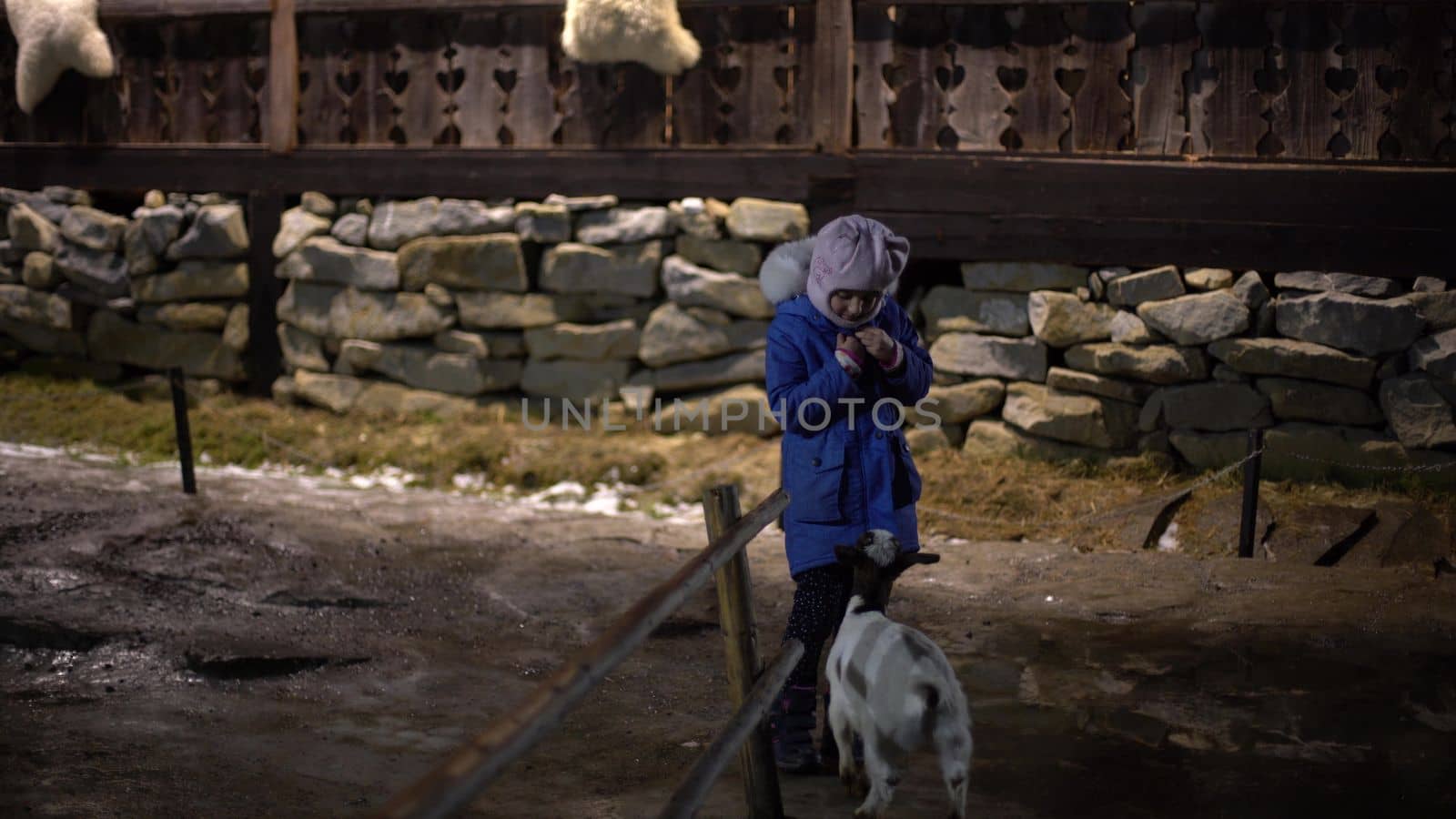 A young girl feeding goat. Close up on hand and goat head. Innsbruck, Austria. High quality photo