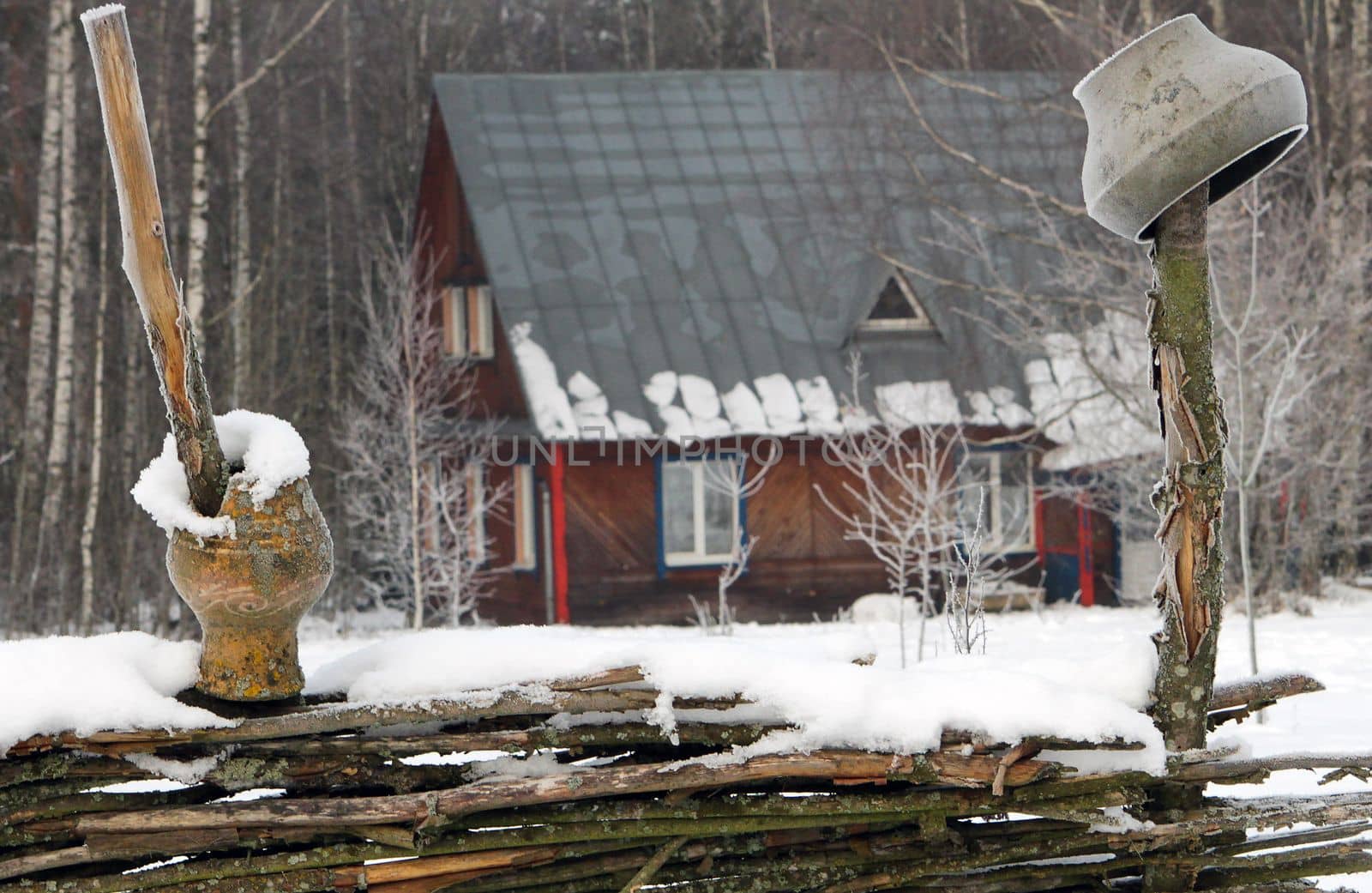 wooden house in winter forest