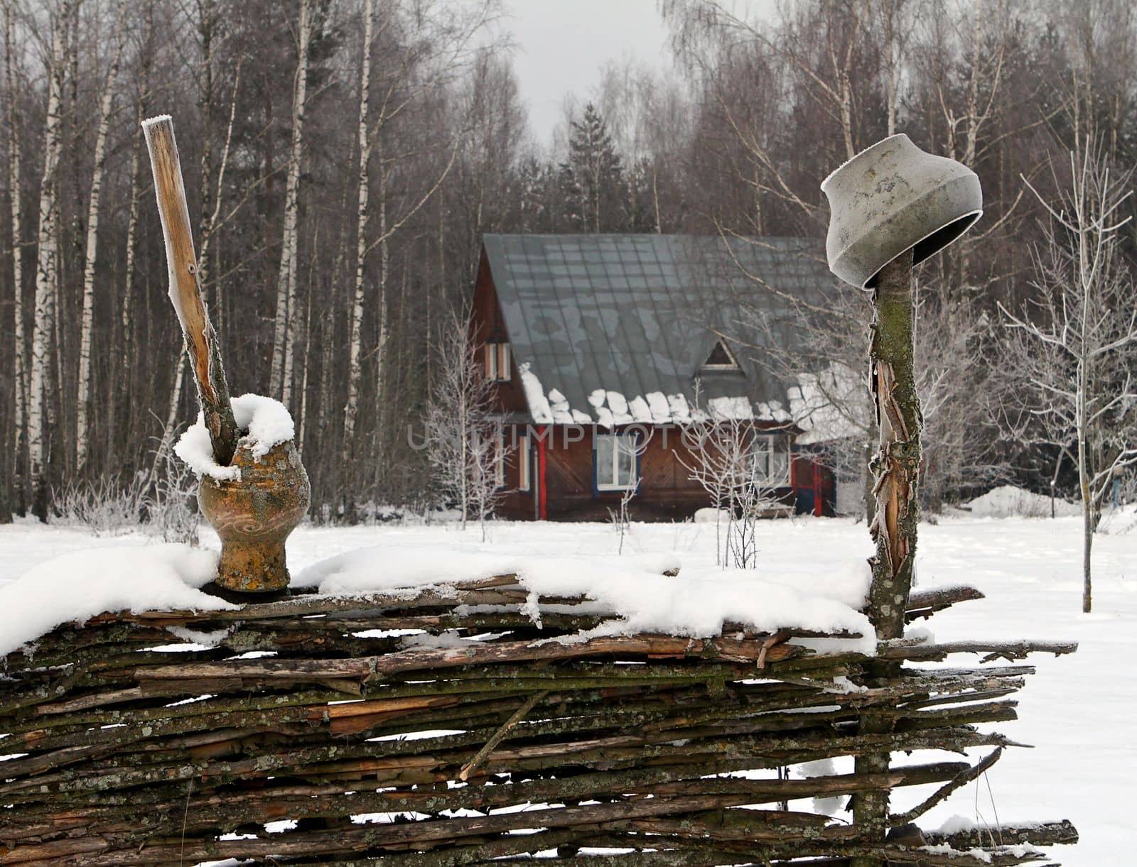 wooden house in winter forest