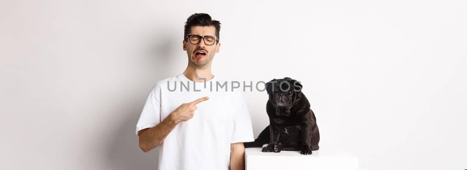 Upset crying man pointing at cute black pug and sobbing, complaining on his pet, standing sad against white background.