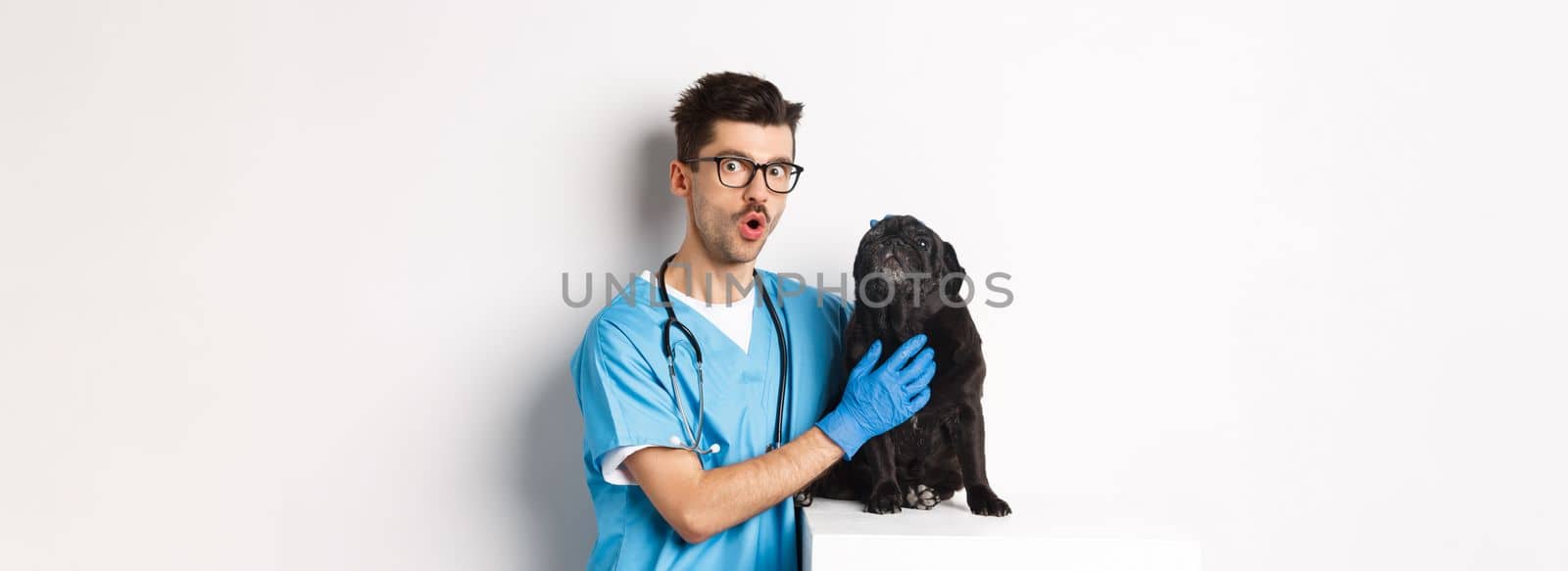 Handsome young veterinarian doctor scratching cute black pug, pet a dog, standing in scrubs over white background by Benzoix