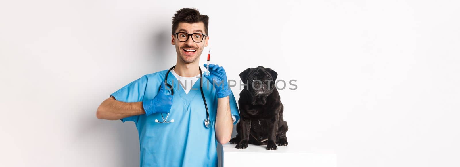 Handsome male doctor veterinarian holding syringe and standing near cute black pug, vaccinating dog, white background.