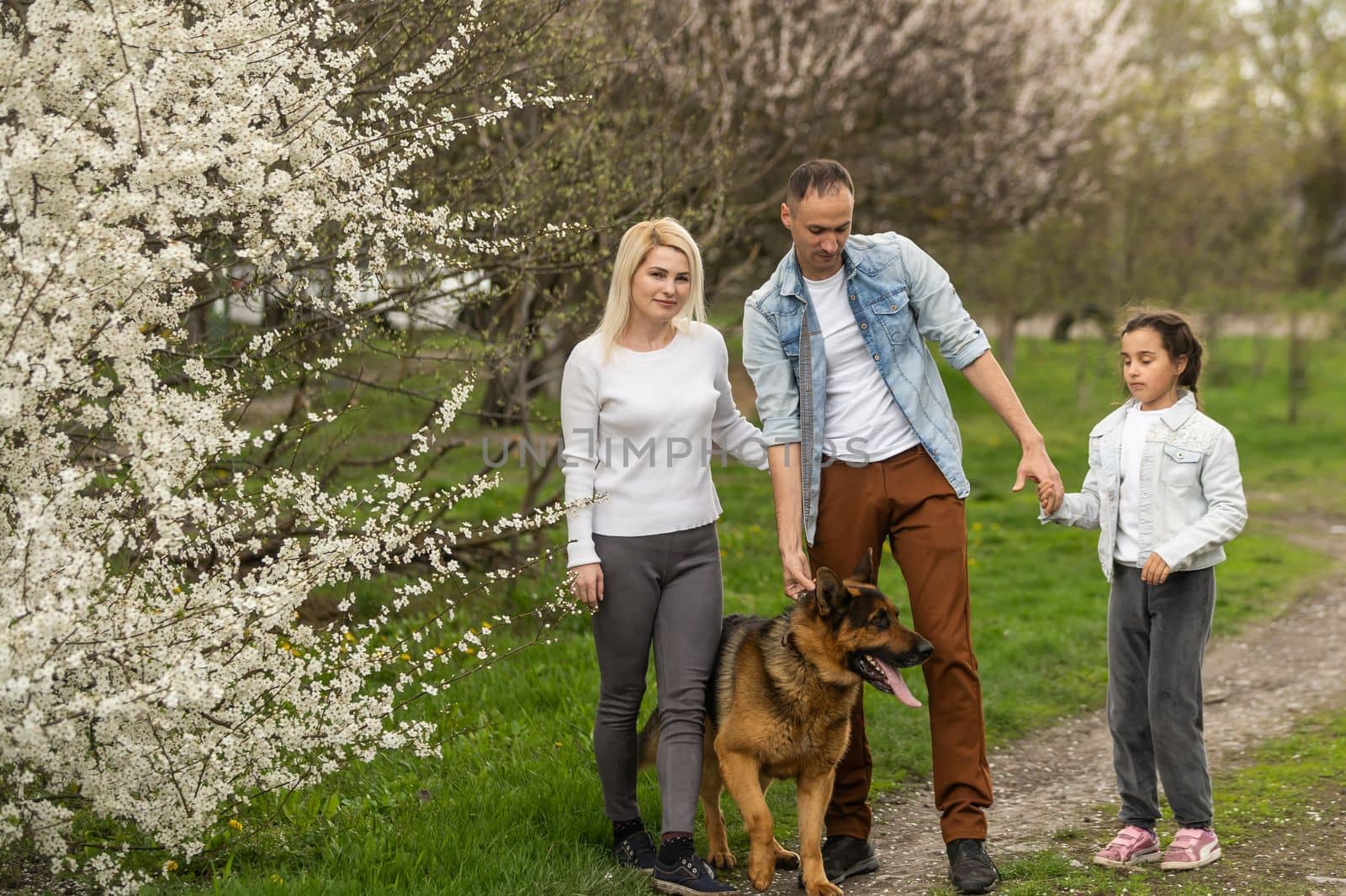 Family and small child outdoors in spring nature, resting