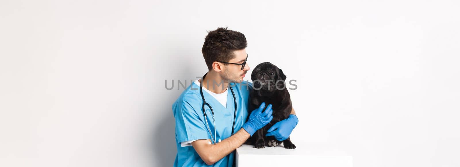 Handsome young veterinarian doctor scratching cute black pug, pet a dog, standing in scrubs over white background by Benzoix