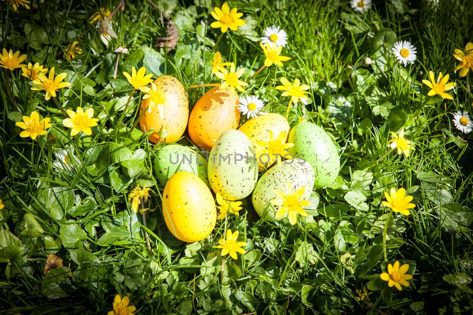 colored Easter eggs hidden in flowers and grass