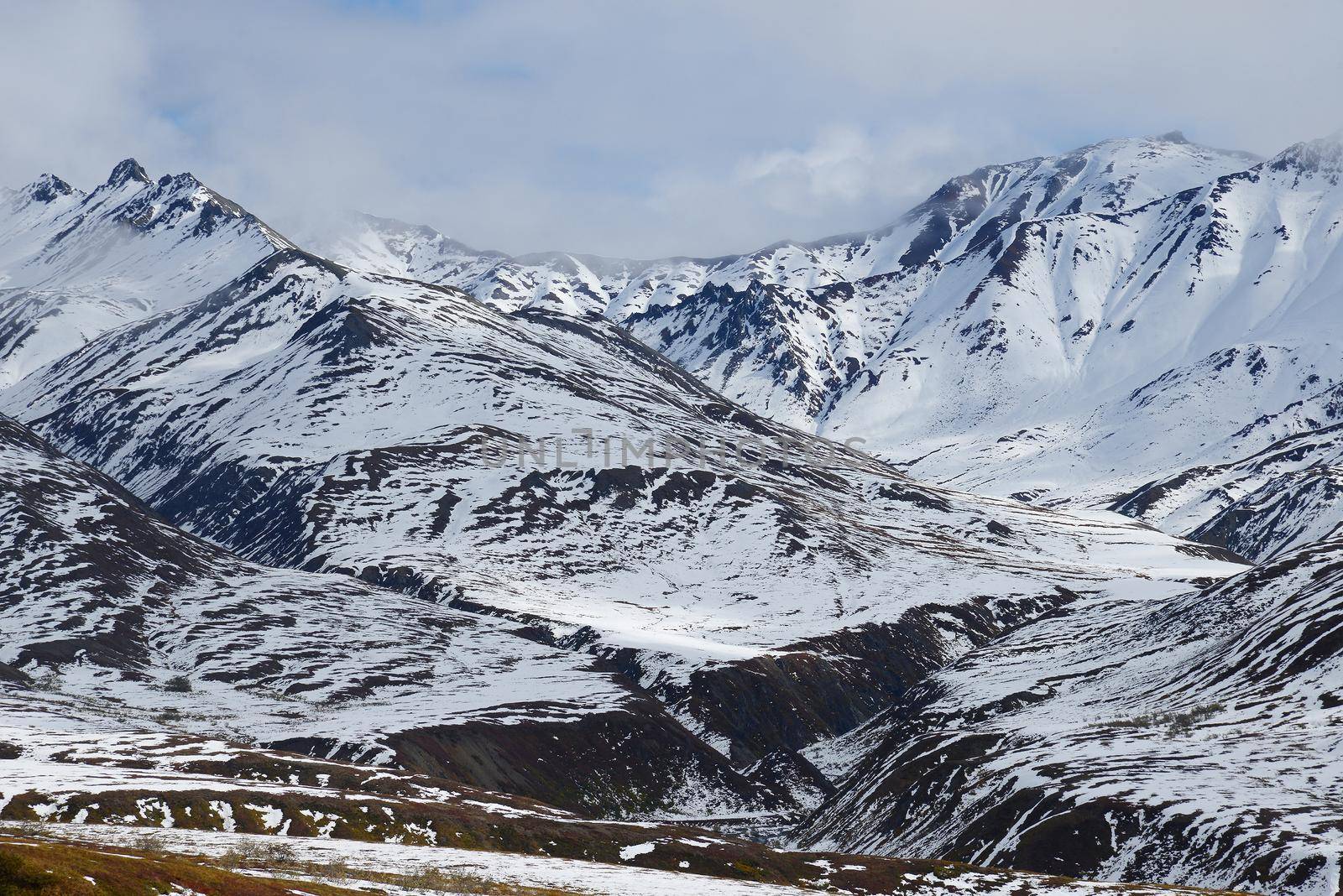 denali landscape by porbital