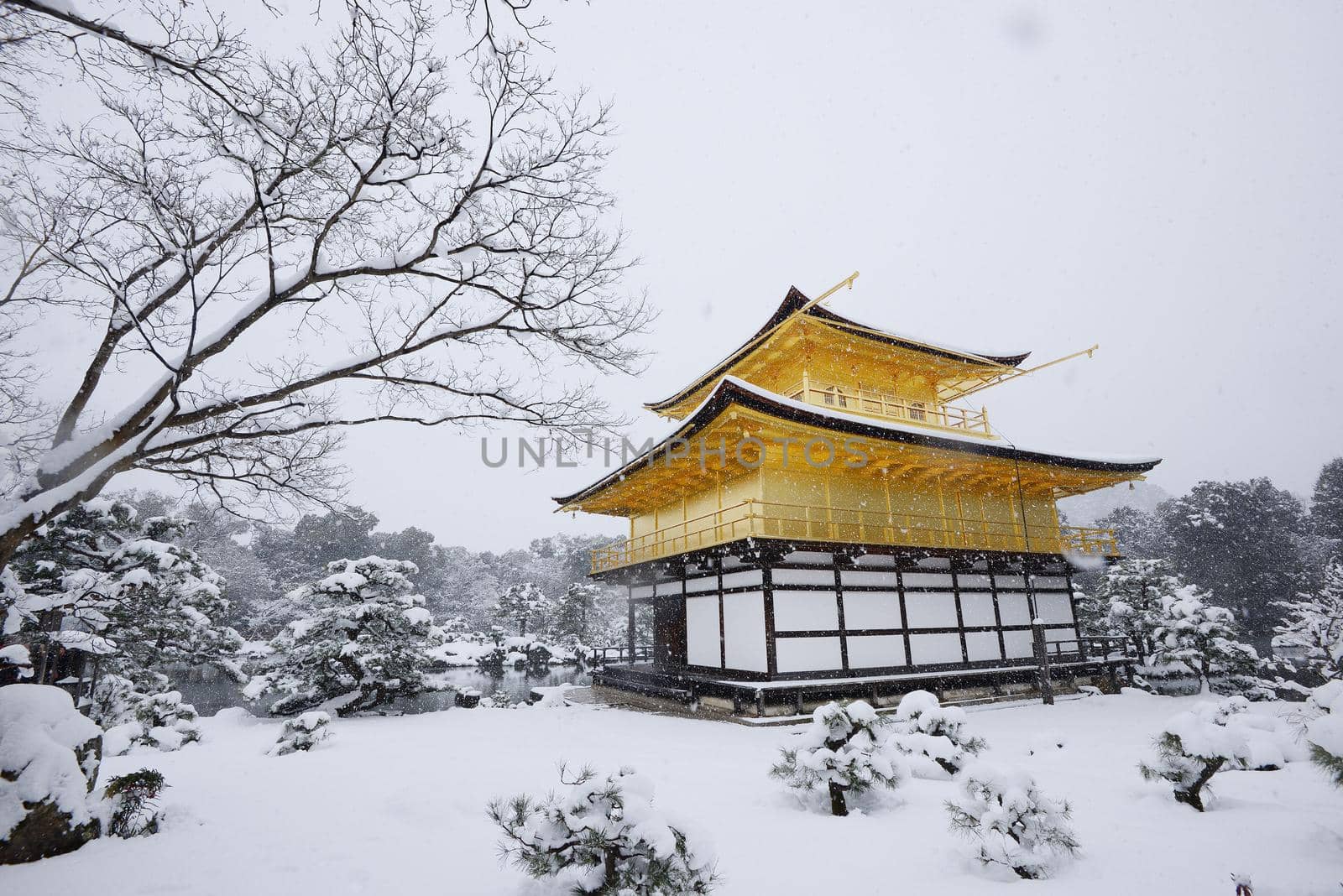 Kinkakuji snow by porbital