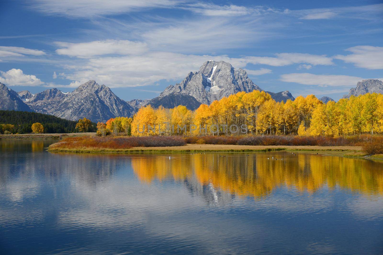 autumn in grand teton national park