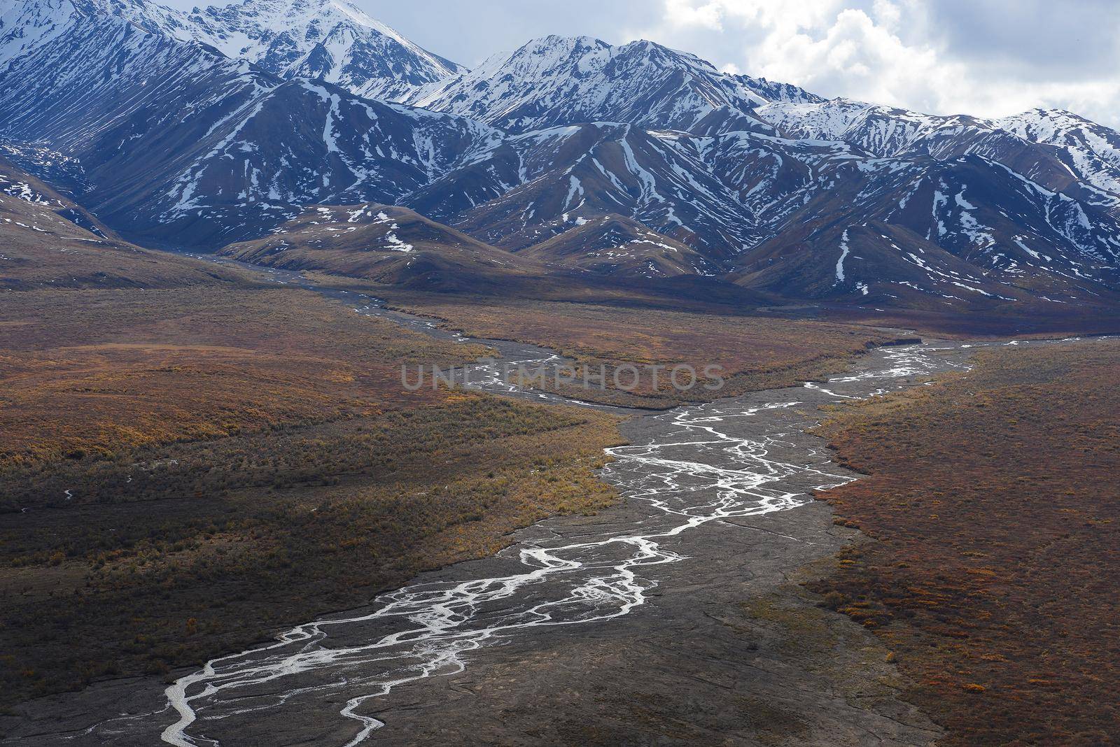 river delta in denali national park alaska