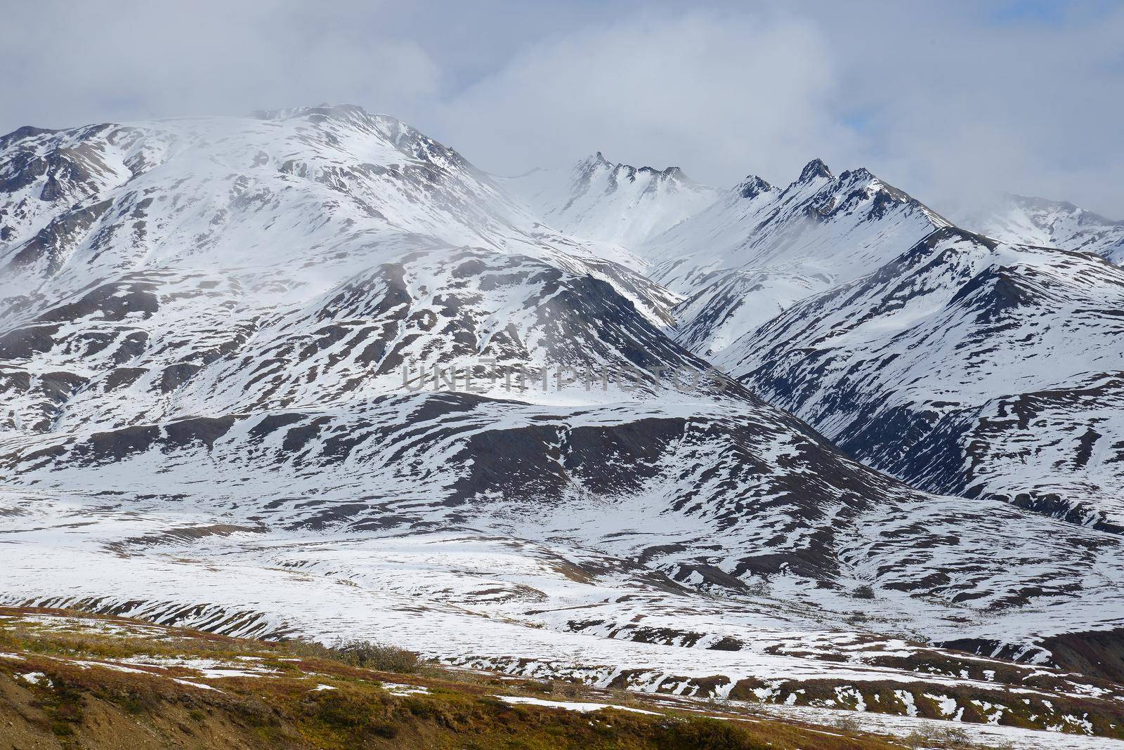 snow mountain landscape in denali national park