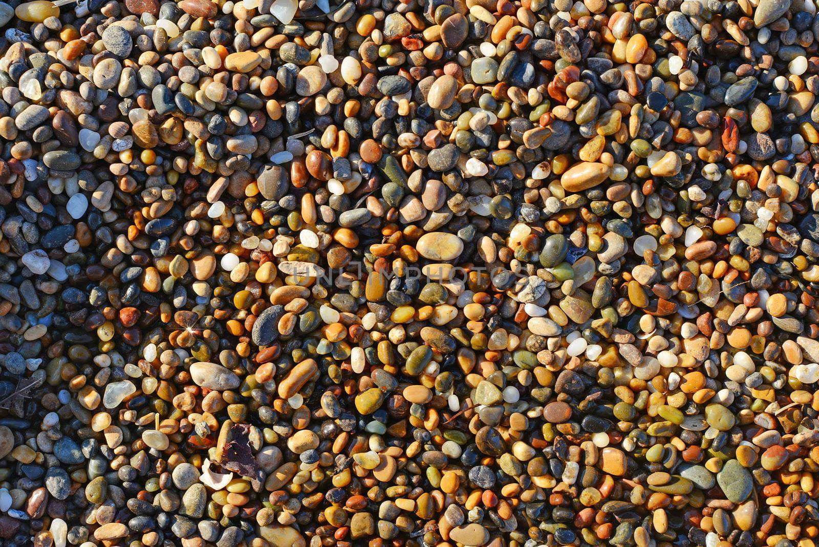 pebble rocks from bean hollow state beach in california