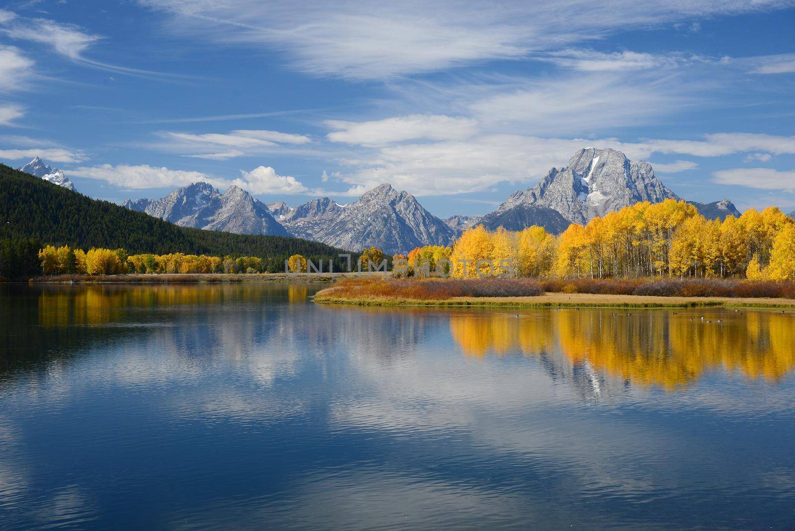 autumn in grand teton national park