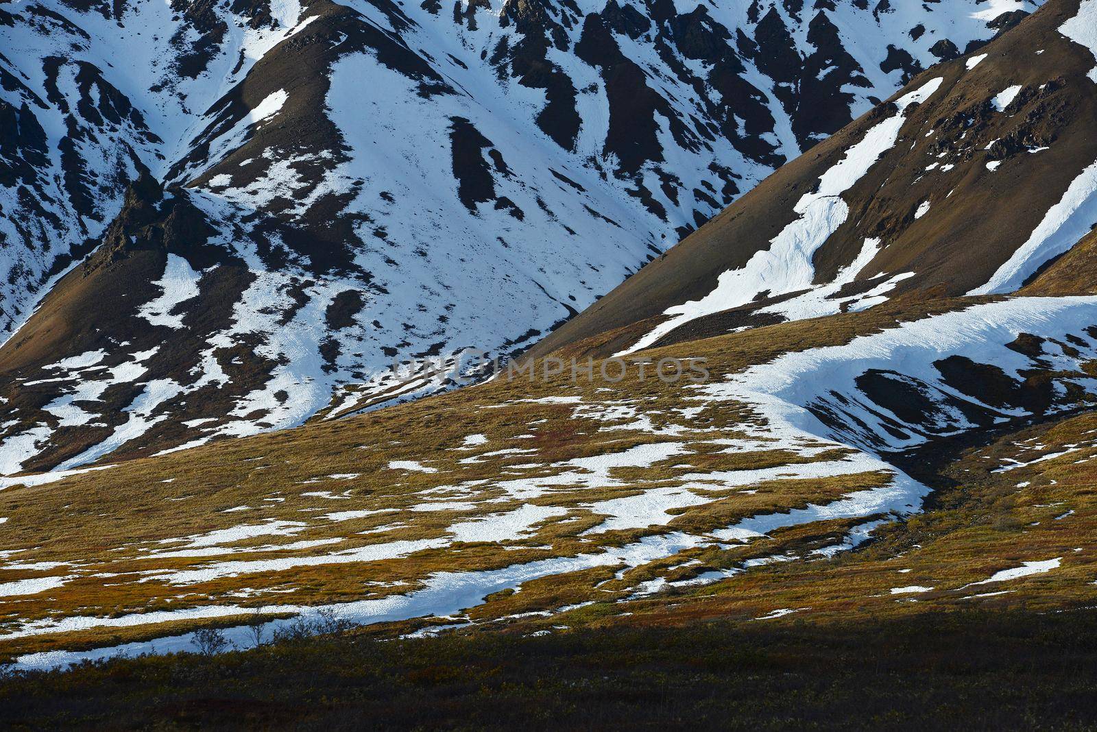 snow mountain landscape in denali national park