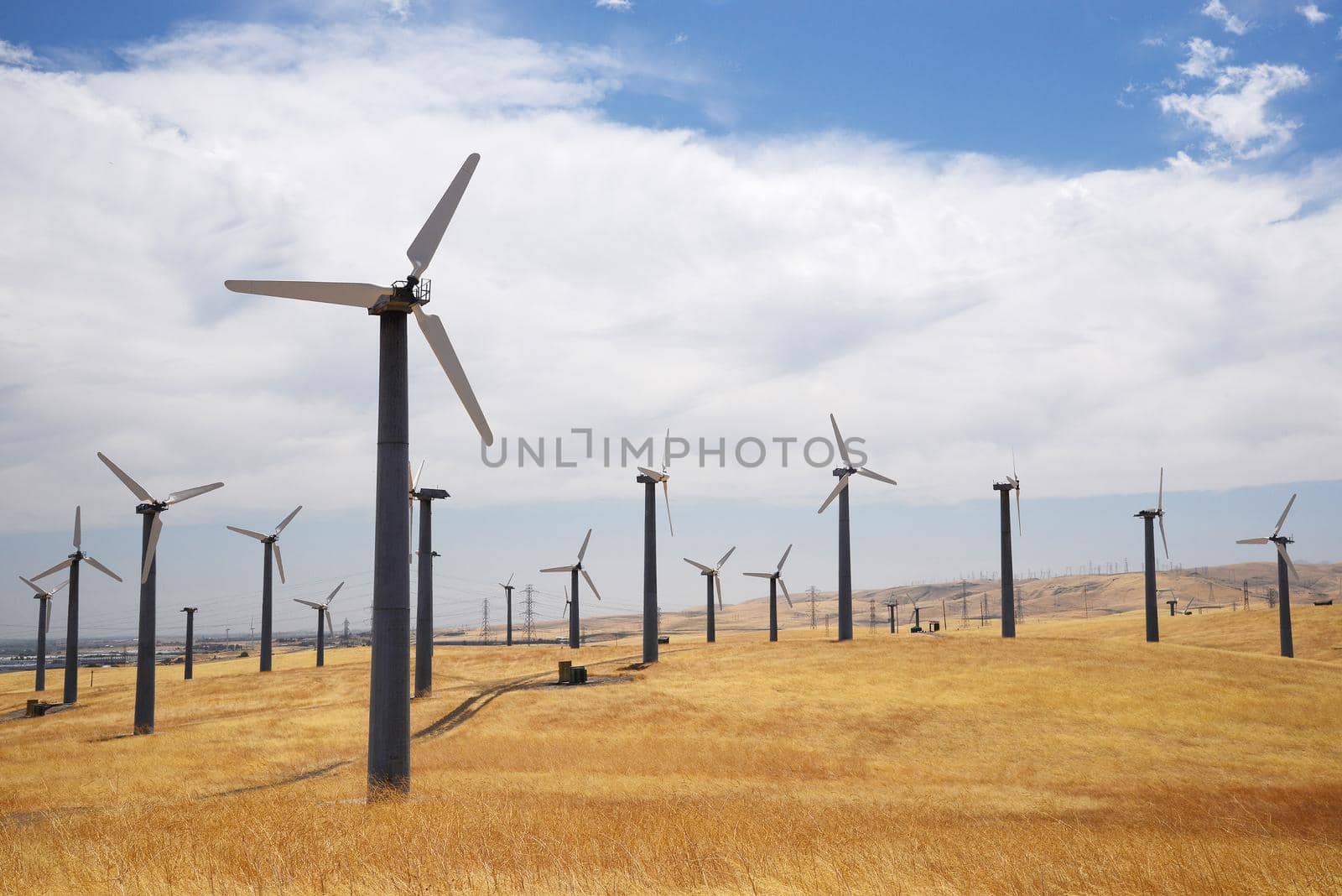 wind power turbine on golden grass hills