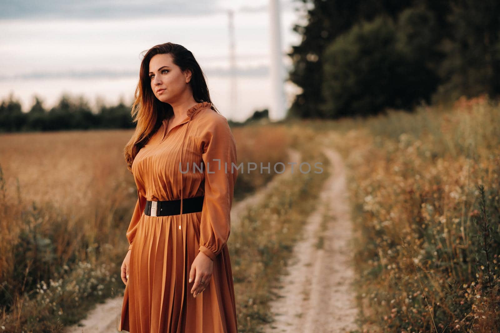 portrait of a Girl in a orangelong dress with long hair in nature in the evening