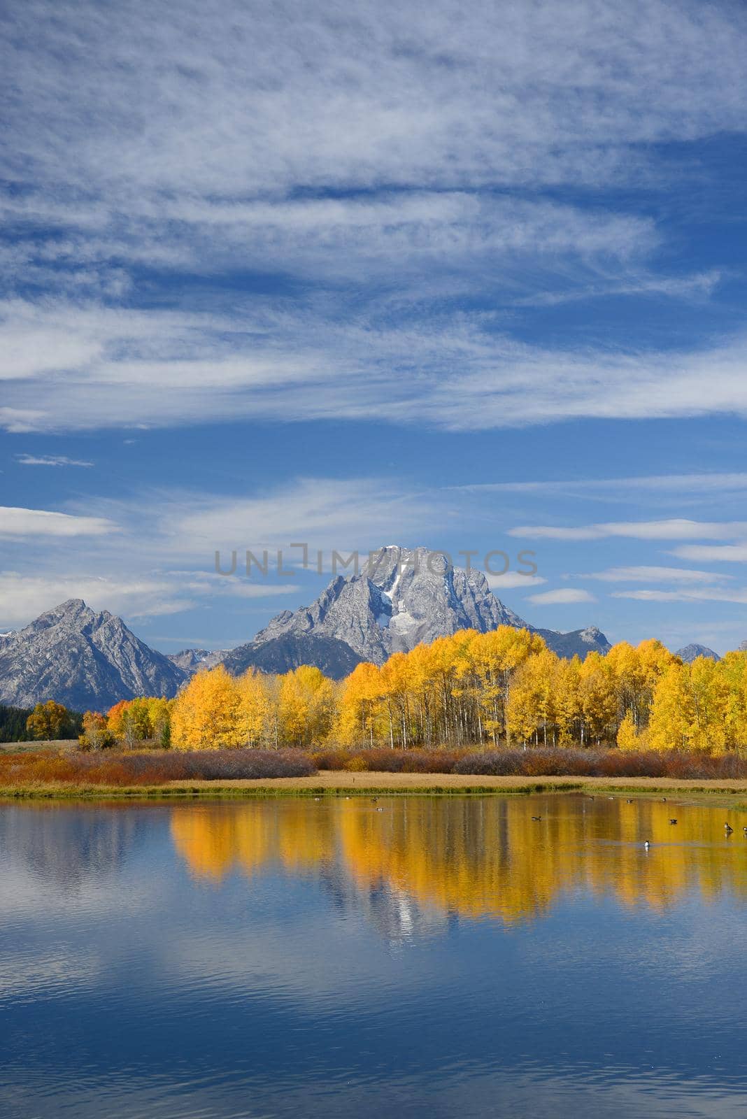 autumn in grand teton national park