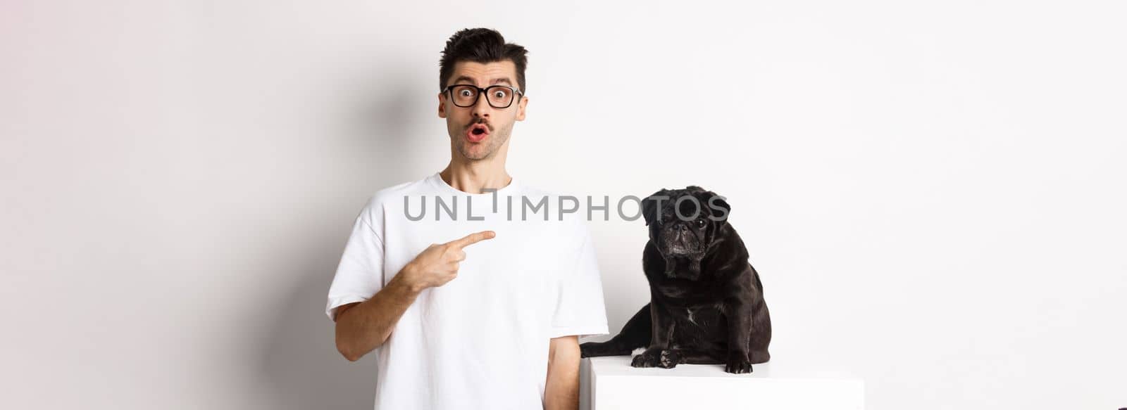 Happy young man showing his cute dog, pointing finger at black pug and staring amazed, standing over white background.