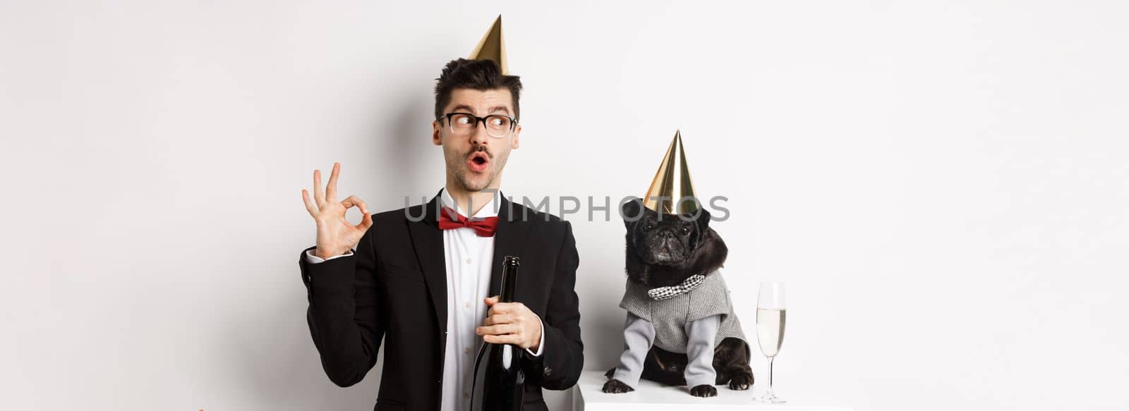 Small black dog wearing party hat and standing near happy man celebrating holiday, owner showing okay sign and holding champagne bottle, white background.