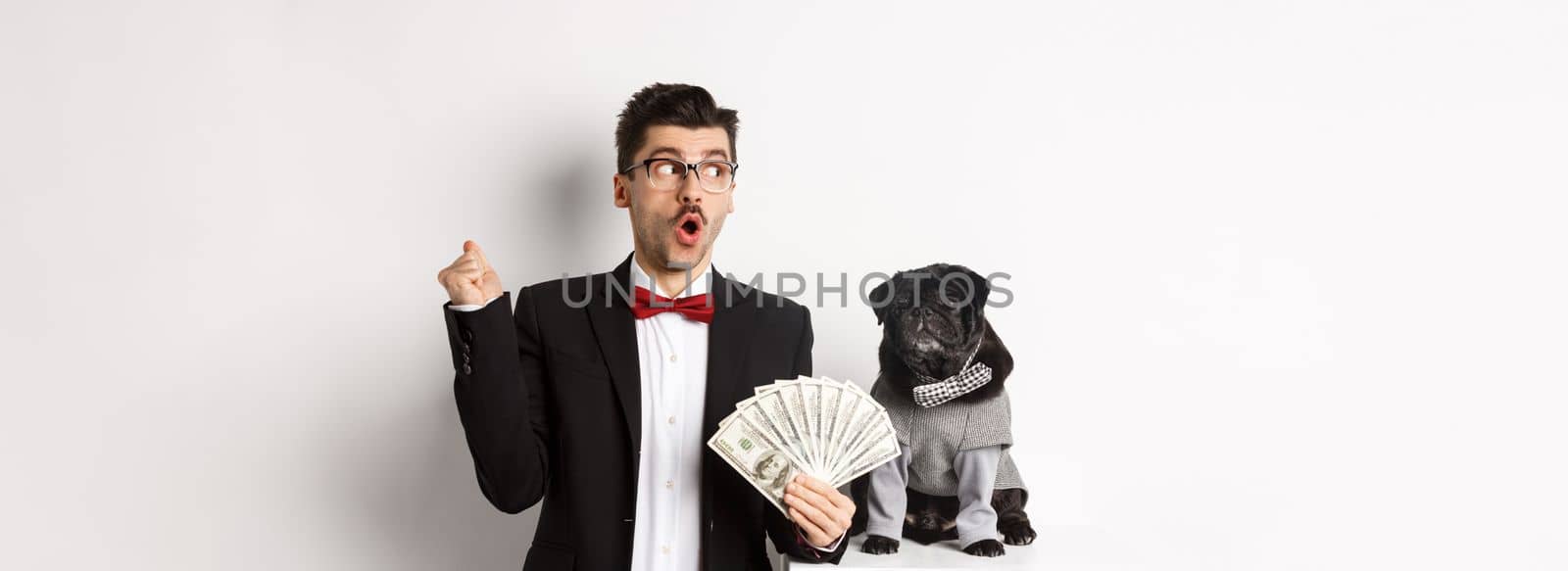 Happy young man in suit earn money with his dog. Guy rejoicing, holding dollars and staring left, black pug in costume staring at camera, white background.