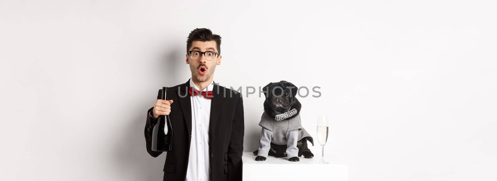 Handsome young man and his puppy celebrating New Year holiday, black pug and dog owner standing in suits, guy holding champagne, white background.