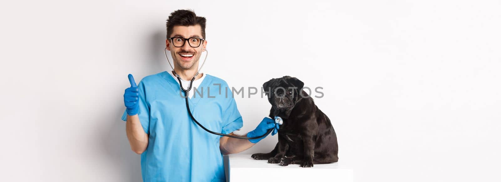 Handsome doctor veterinarian smiling, examining pet in vet clinic, checking pug dog with stethoscope, showing thumbs-up and smiling satisfied, white background by Benzoix