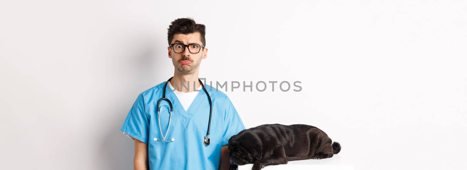 Tired black dog pug lying near handsome male doctor at veterinary clinic, veterinarian staring confused at camera, standing over white background.