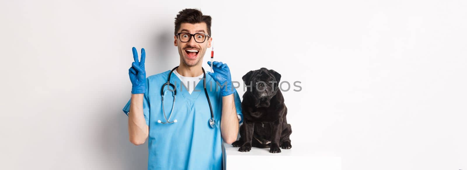 Handsome doctor veterinarian holding syringe and standing near cute black pug, vaccinating dog, white background.