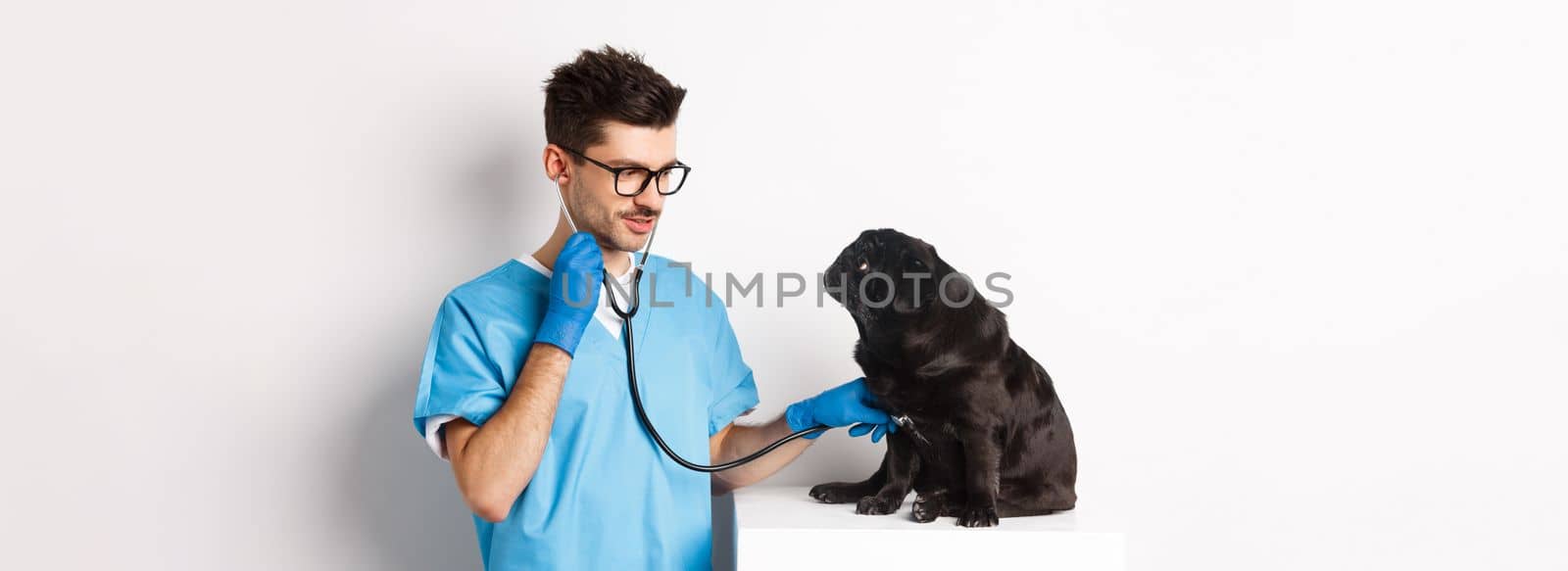 Handsome doctor veterinarian smiling, examining pet in vet clinic, checking pug dog with stethoscope, standing over white background by Benzoix