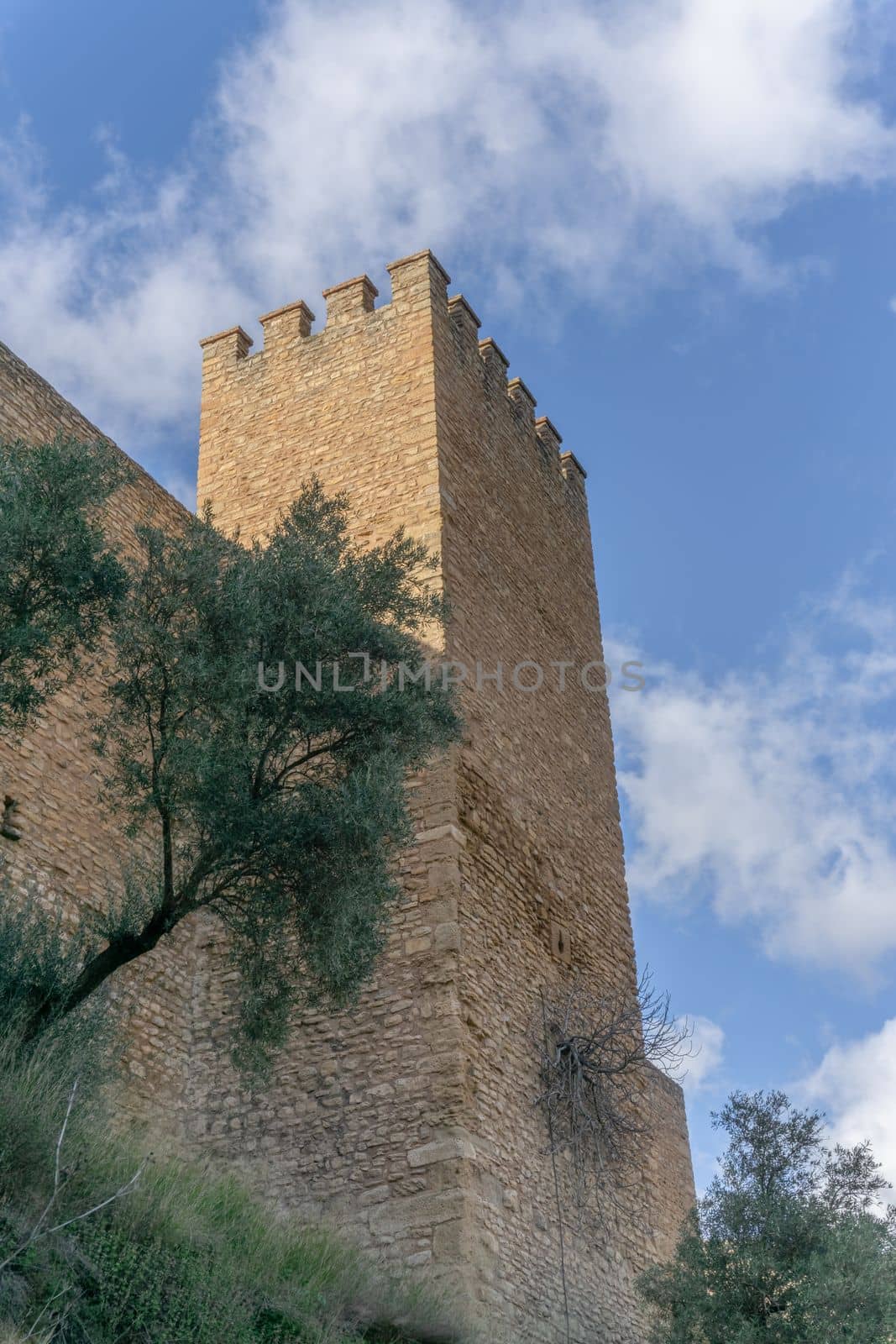 castle keep with sky in the background by joseantona