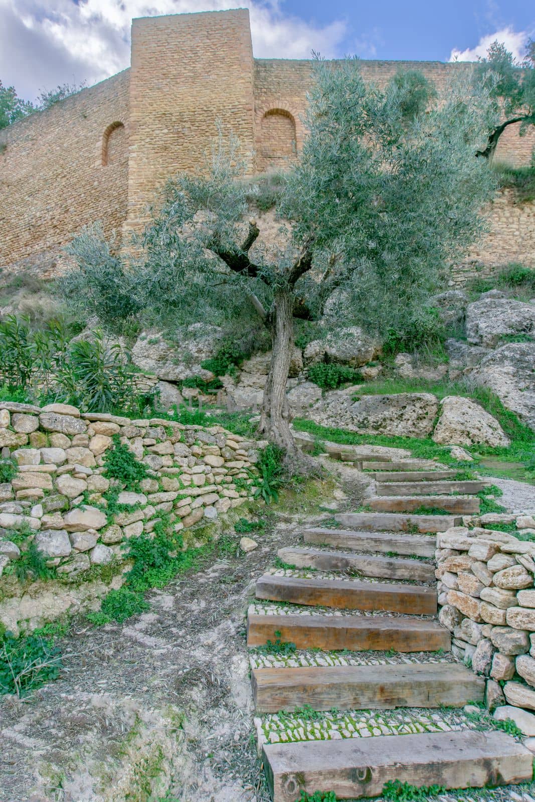 stairs going up to the castle walls with an olive tree on the way and cloudy sky