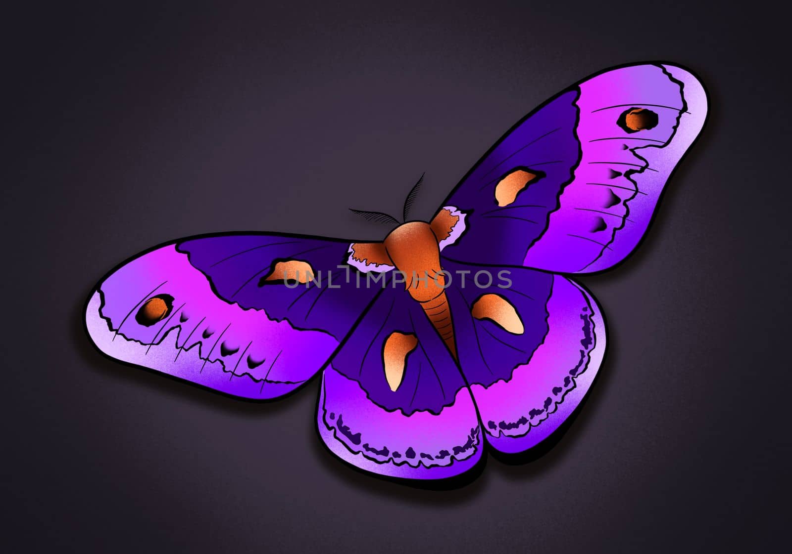 fantastic butterfly moth bright illustration art by kr0k0