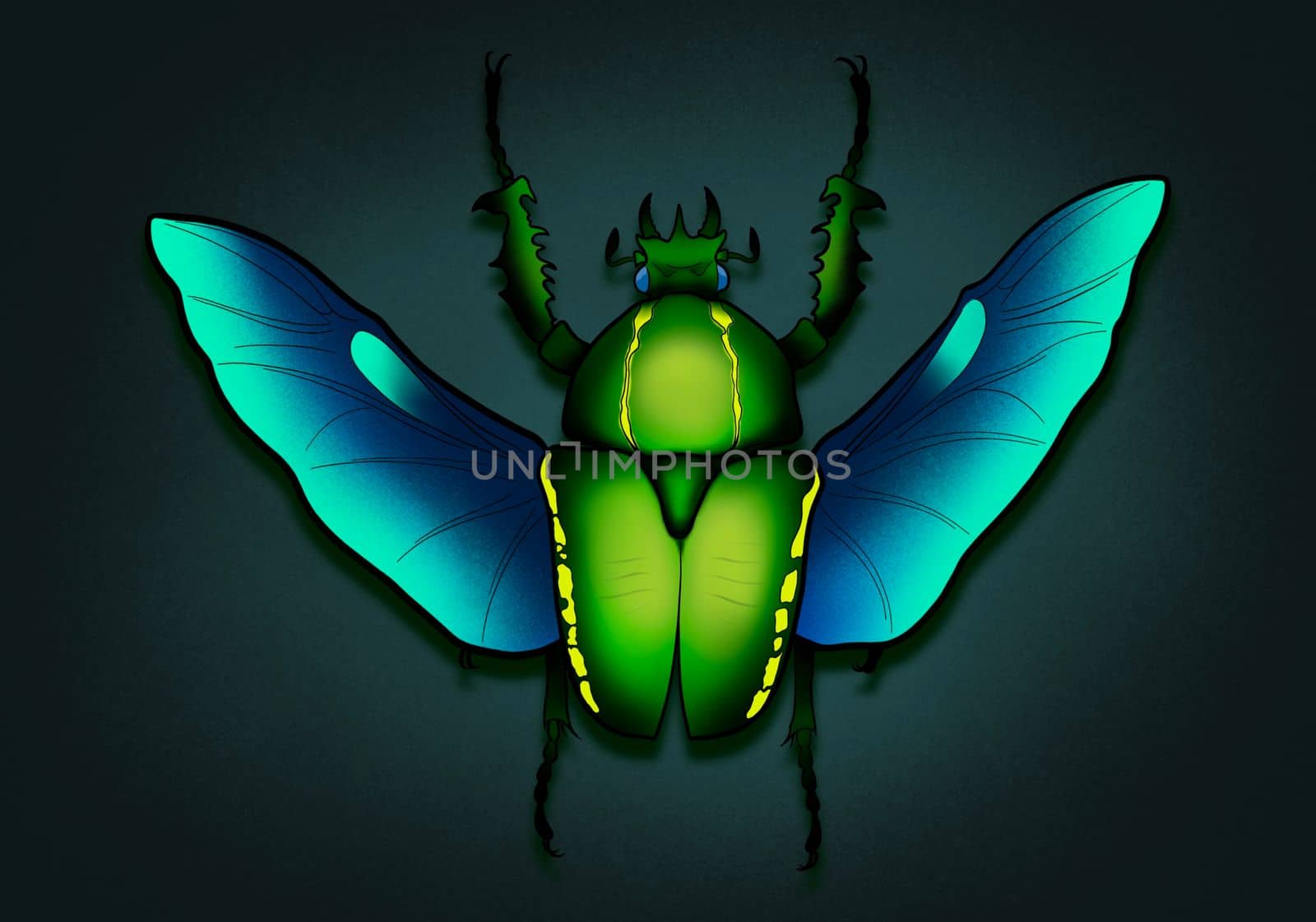bright shiny green beetle with wings detachment cetonia aurata by kr0k0